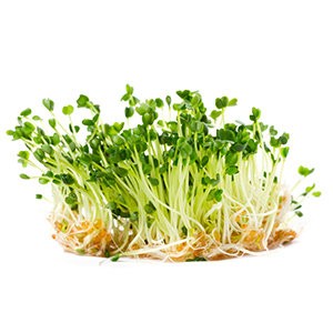 1475628435_5-Reasons-Why-You-Should-be-Eating-Sprouts_1