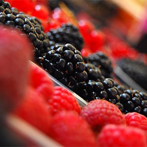 1475629257_3-Reasons-to-Jump-on-the-Berry-Bandwagon_1